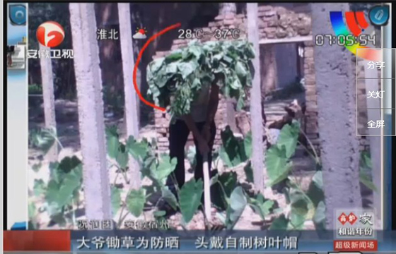 農(nóng)民防曬有絕招，就地取材，頭戴樹葉自制帽子