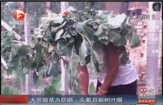 農(nóng)民防曬有絕招，就地取材，頭戴樹葉自制帽子